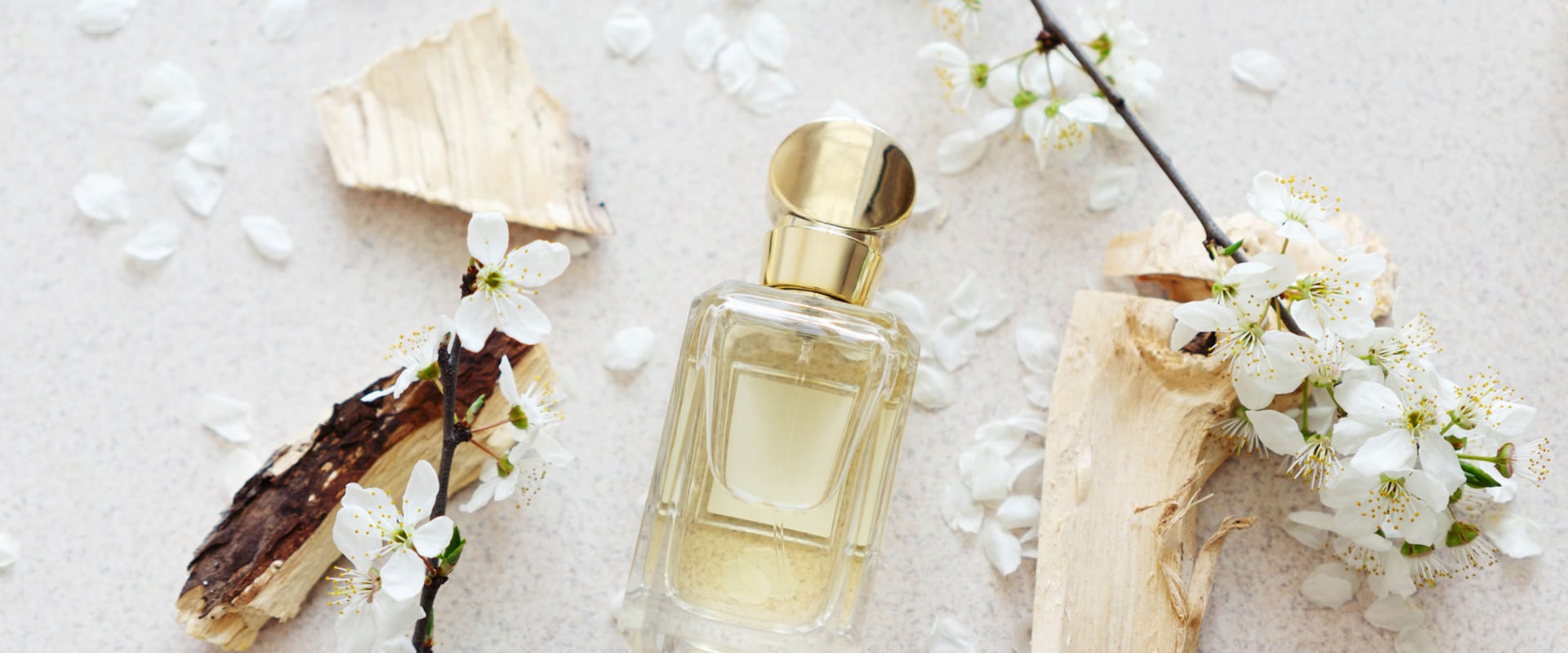 Middle Notes: An Introduction to Fragrance Notes