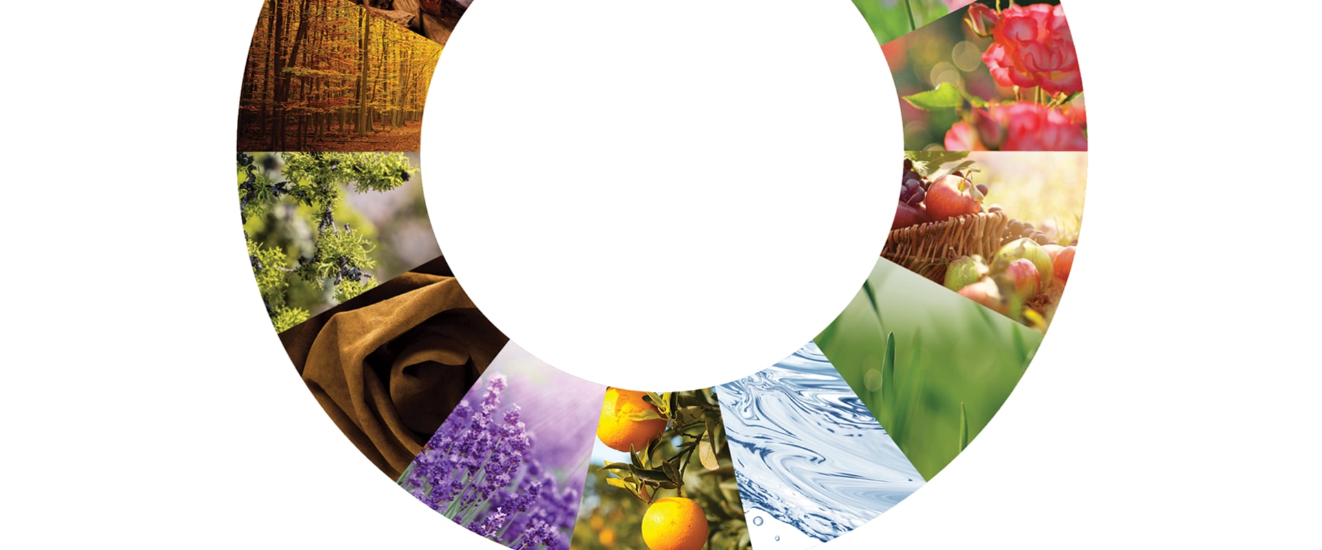 Floral: Exploring One of the Most Popular Fragrance Families