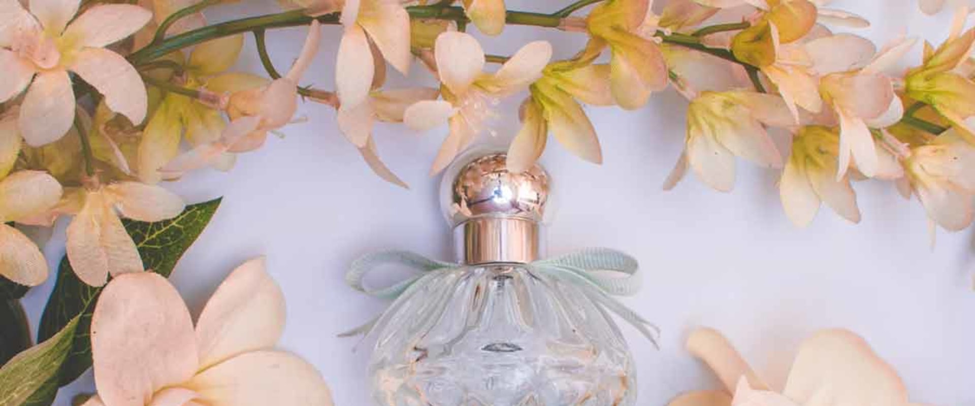 Choosing the Right Perfume Decant