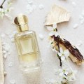 Middle Notes: An Introduction to Fragrance Notes