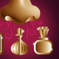 Everything You Need to Know About Absolute Fragrance